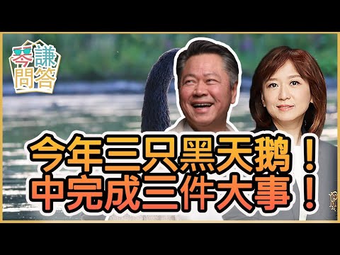 《琴問謙答》賴岳謙 周玉琴  第兩百五十二集  今年三只黑天鹅！中完成三件大事！