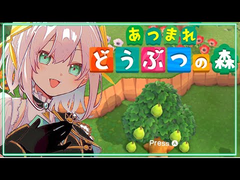 【どうぶつの森】 雑談　うれしいことがあった！！！【アルス・アルマル/にじさんじ】