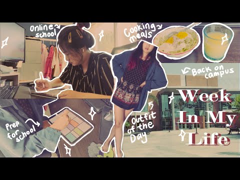 First week back in College | 📚 prep for school, studying, room decor, cooking