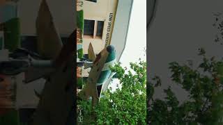 IISc Bangalore Campus tour (Drone View) | #iiscbangalore #iisc #campustour #campuslife