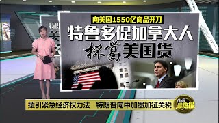 特朗普向中加墨三大贸易伙伴开刀   新一轮关税战开打？| 八点最热报 02/02/2025