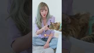 貓咪犯錯怎麼教？ 有效的自責貓咪又不造成恐懼 #貓女娜娜 #寵物行為 #貓咪知識 #貓咪日常