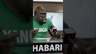 FEITOTO NIMECHOKAKUUZA MIKWAJU😂😂#gorilla