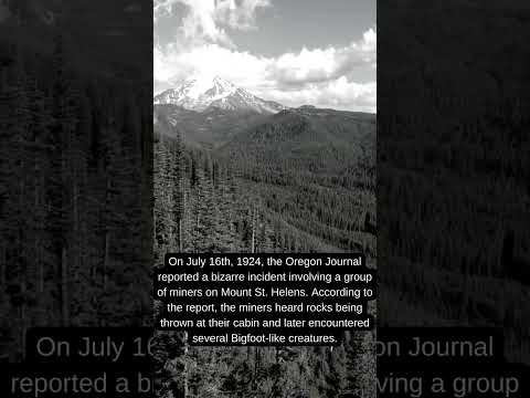 The Mysterious Ape Canyon Encounter A Real Bigfoot Sighting in 1924