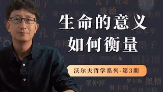 如何衡量生命的意义？追随自己的热爱就是生命的意义吗？【小播讲哲学】