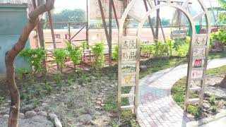 臺中市107年度社區規劃師駐地輔導計畫、大里區永隆里自力營造成果