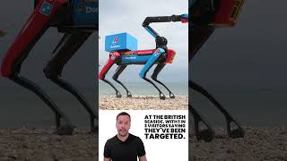 Domino’s Unleashes Robot Dog to Defend Pizza from Seagulls!  - Domidog in Action