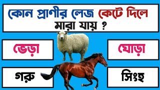 Bangla Gk Question and Answer | Bangla Quiz | Gk Questions 2022 | General Knowledge | M Gk Study