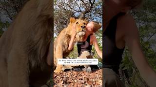This family adopted a lost lion cub and raised him with love