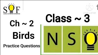 NSO Class -3,Ch -2 Birds Practice questions (Q1-Q8) with explanation