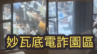 反詐主播連麥妙瓦底電詐園區“豬仔”講述園區最新情況
