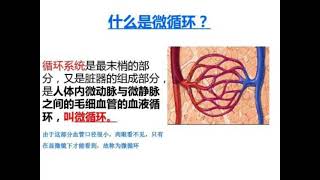 什么是微循环❓❓❓