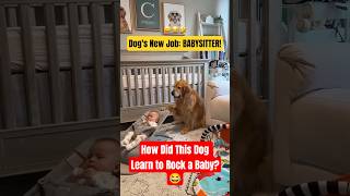 Try Not to LAUGH at These Dogs! (IMPOSSIBLE Challenge) 😂 #dog #dogs #dogfails