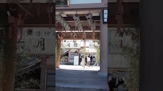 照国神社。水無月大祓い。