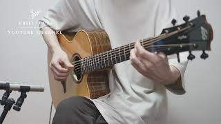 World's first digitally enhanced acoustic guitar [ Lâg Guitars HyVibe ]