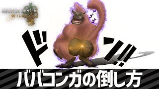 ハイテンポMHWs：ババコンガの倒し方│モンハンワイルズ
