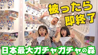 ガチャガチャ被ったら即終了！！日本最大ガチャガチャの森で被るまで終われまてんやってみた♪himawari-CH