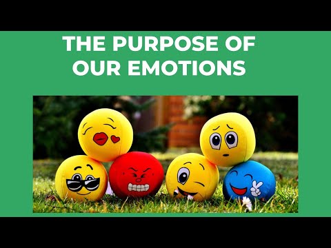 HOW TO REGULATE OUR EMOTIONS AND PURPOSE OF OUR EMOTIONS