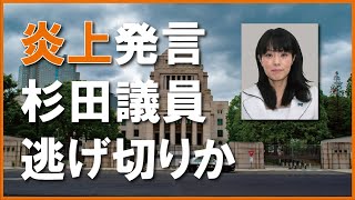 【ニュース解説】杉田水脈議員は逃げ切ったのか、「レイプ神話」届かぬ被害者の声