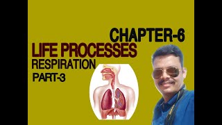 Chapter-6 Life Processes - Respiration