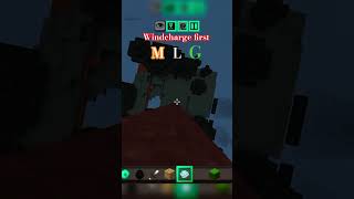 Minecraft world 🌎#windcharge 🌬️ first' MLG #technoblade never di. ❤️