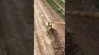 Top 5 Agricultural Tools That Can Boost Your Income! 💰