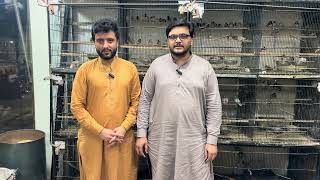 Multan Birds Market Rasheedabad 24 July 2025 | pakistan bird market | Youns Khan