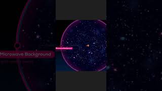 Life in the Simulation: Are We Just Code?