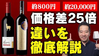あなたの舌は騙されている!? アルパカと高級ワインの衝撃の違い【コンビニワインVSプレミアムワイン】