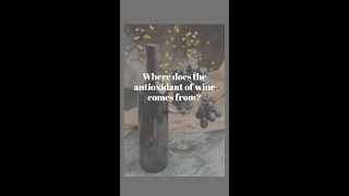 Where does the antioxidant of wine comes from? | Wine Facts | VidVinoVids #Shorts