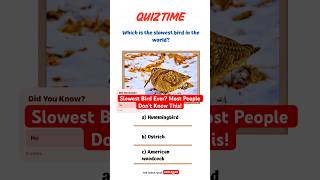 Slowest Bird Ever? Most People Don’t Know This!🐦 #quizshorts