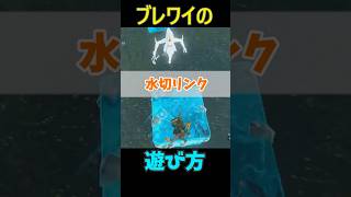 【 ブレワイ】　水切リンク編 #ゼルダの伝説 #zelda #ゼルダの伝説ブレスオブワイルド #ゼルダの伝説ティアーズオブザキングダム