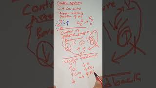 Negative feedback mechanism | Physiology | Homeostasis