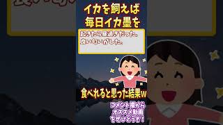 イカを飼おうと思ったらｗｗｗ【ゆっくり解説】【2ch面白い名作スレ】#Shorts