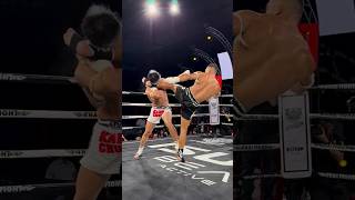 Fast Knockouts #mma #ufc #fighting  #mmafighter #knockouts #mmanews #boxing #fightsport #fast #punch