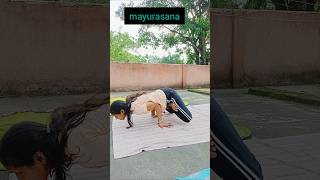 Mayurasana | Peacock pose #yogasana #shorts #ytviral