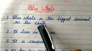 10 lines on Blue Whale 🐳 in english