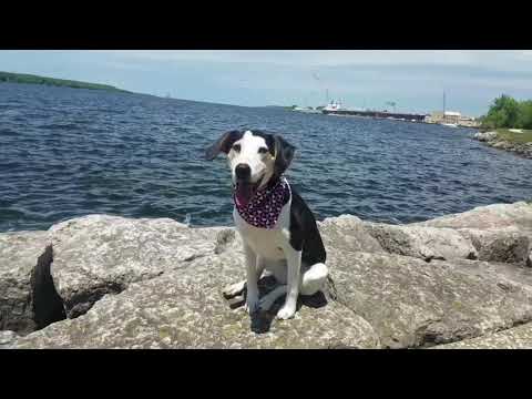 Sturgeon Bay trip