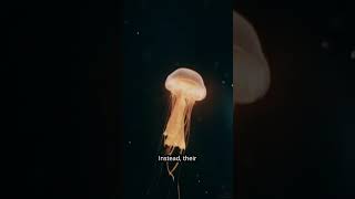 This Deep Sea Monster Breaks the Laws of Physics