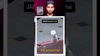 Alhamdulillah 🥰🥰🥰 #cat #shorts #reel #viralvideos #shortsfeed #trendingshorts #viral #love #public