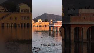 Jal Mahal, Jaipur 🦢✨🦚