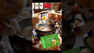 Cats in USA vs China 😎💀 #shorts #viral #fyp #china #usa #usavschina #memes #funny #chinavsusa #cat