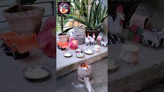 #anandirrannaghor #minikitchen #sujirecipe #sujirmisti #shortsfeed #shorts #viralvideo #reels