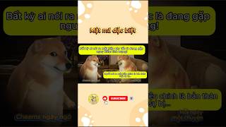 Mật mã đặc biệt | Cheems ngây ngô
