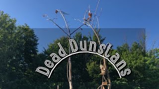 Dunstan Chestnut - 33% Survival at 6 years (Small sample-size)