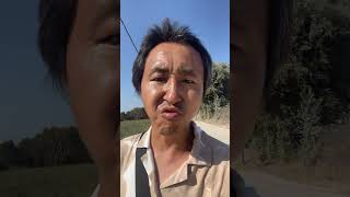 发烧中，带着狗徒步十公里，强迫出汗！命运你别想打垮我！