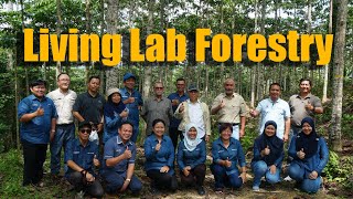 UMS LANCAR MAKMAL HIDUP PERHUTANAN (LIVING LAB FORESTRY) PERTAMA DI JAWALA PLANTATION SDN BHD