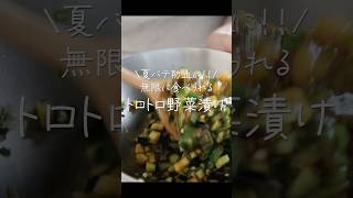 食欲なくてもペロッと完食…火を使わず簡単！さっぱりトロトロ漬 #shorts #野菜たっぷり #漬物 #作り置き #料理