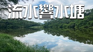 流水響水塘, 天空之鏡, 蝴蝶天堂, 魔幻森林【香港EasyHike】