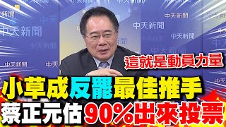 小草成"反罷"最佳推手 蔡正元估"90%出來投票":這就是動員力量!